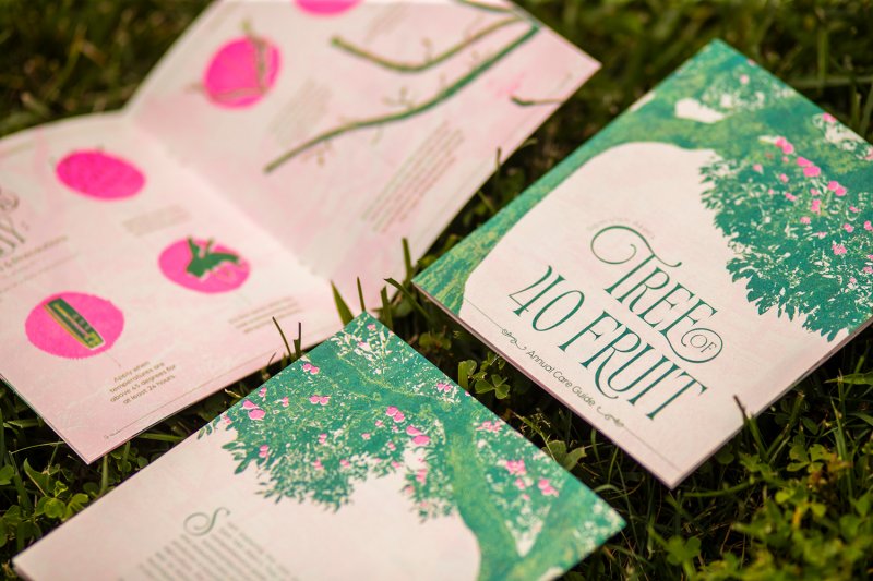 Tree of 40 Fruit Care Guide - Image 1