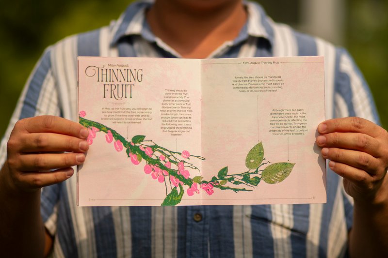 Tree of 40 Fruit Care Guide - Image 2