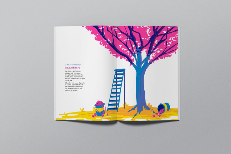 Tree of 40 Fruit Care Guide - Image 2