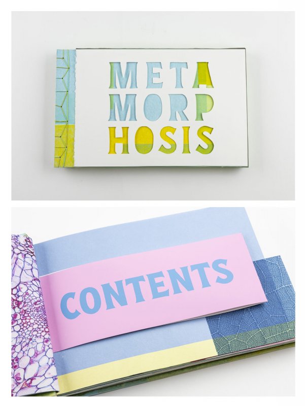 Metamorphosis - Image 1