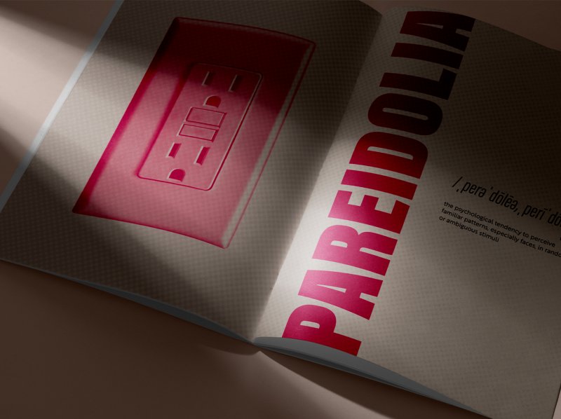 Made You Look: The Art of Seeing Faces in Inanimate Objects - Image 1