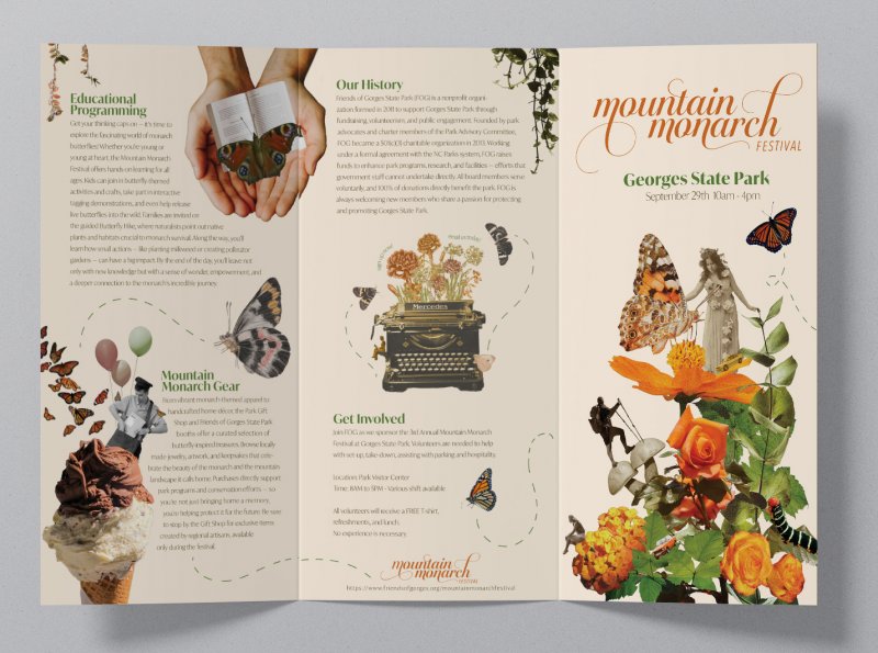 Monarch Brochure - Image 2