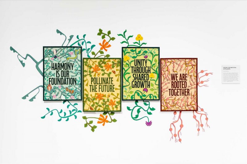 SEEDS FOR NATIONS OF PLANTS - Image 1