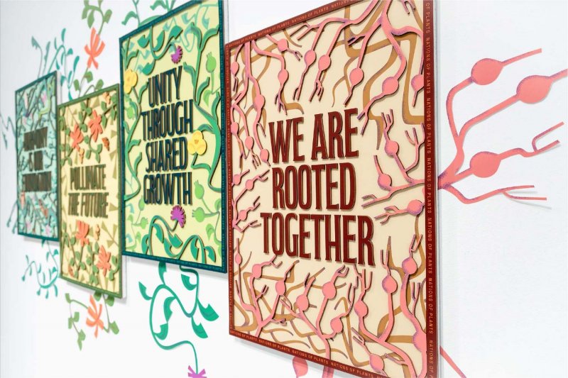 SEEDS FOR NATIONS OF PLANTS - Image 2