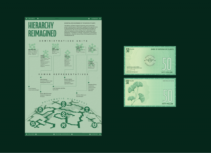 SEEDS FOR NATIONS OF PLANTS - Image 3
